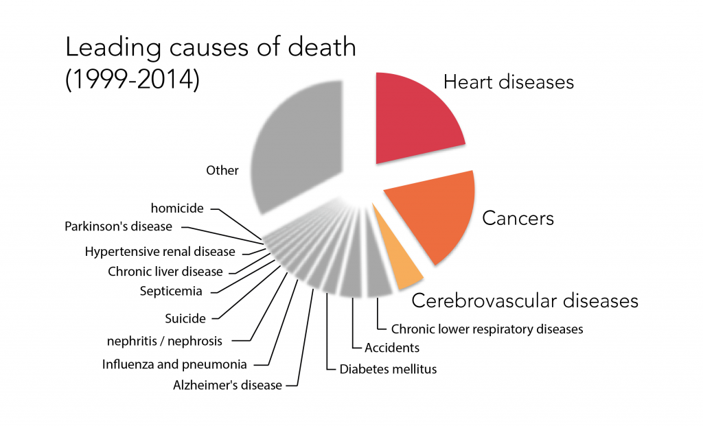 Top causes of death pie chart