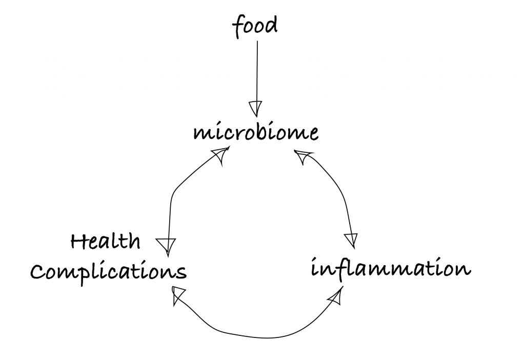 Microbiome aging diagram