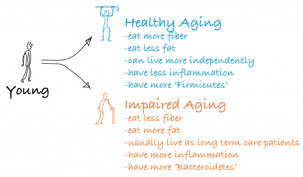 Microbiome aging diagram 2